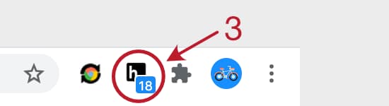 Click the Hypothesis icon to activate the Hypothesis extension
